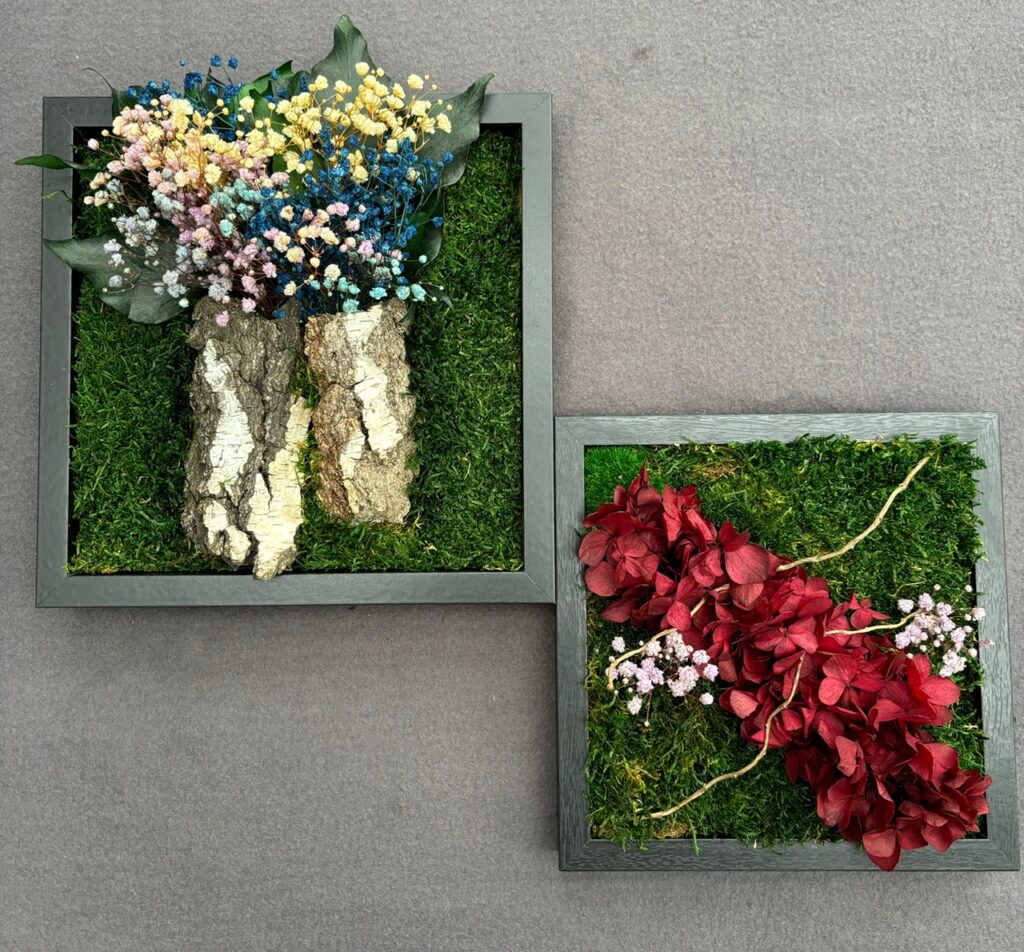 Dieses Bild hat ein leeres Alt-Attribut. Der Dateiname ist 2Bilder1-1024x952.jpeg