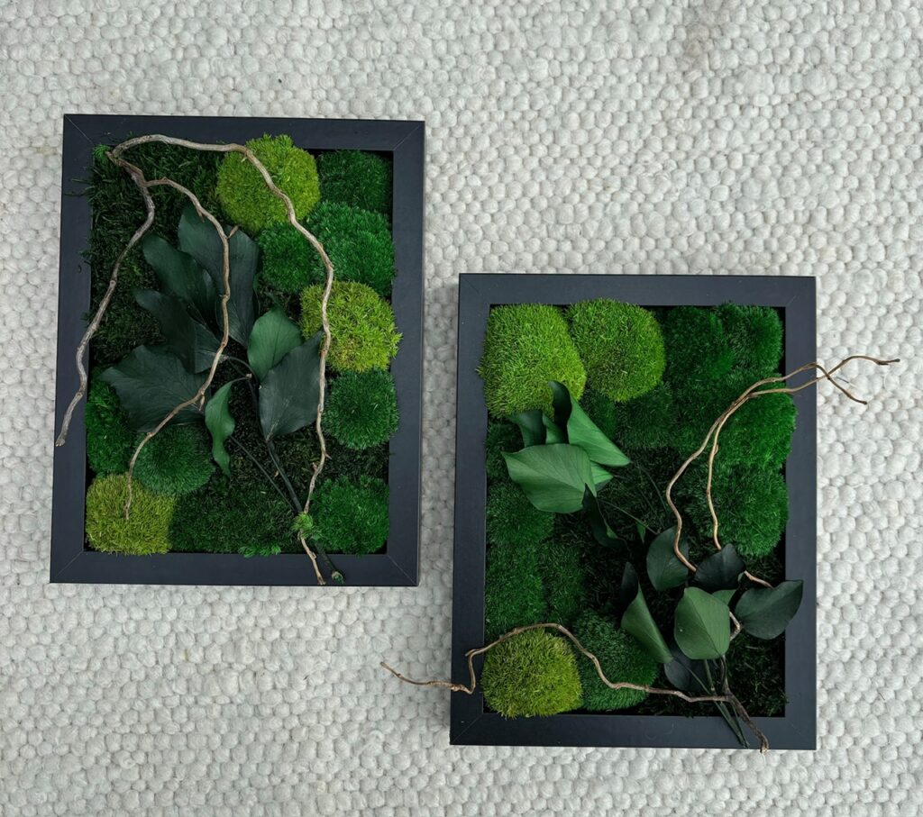 Dieses Bild hat ein leeres Alt-Attribut. Der Dateiname ist 2Bilder2-1024x907.jpeg