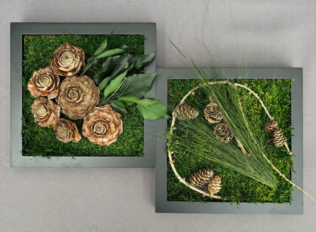 Dieses Bild hat ein leeres Alt-Attribut. Der Dateiname ist 2Bilder3-1024x754.jpeg