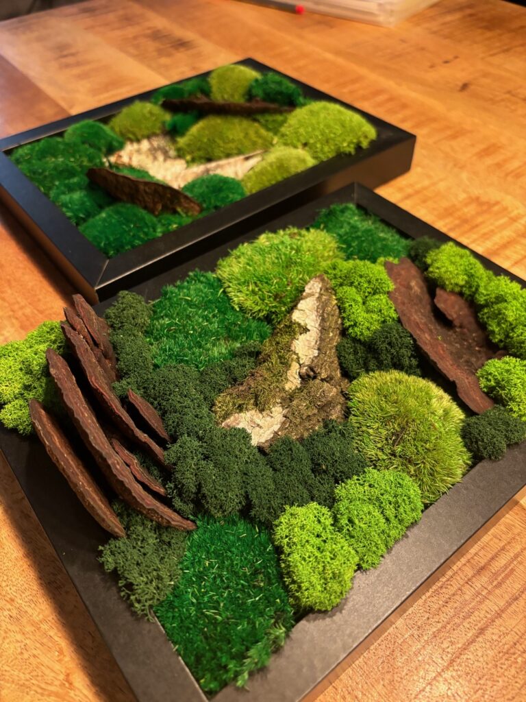 Dieses Bild hat ein leeres Alt-Attribut. Der Dateiname ist 2Bilder4-768x1024.jpeg