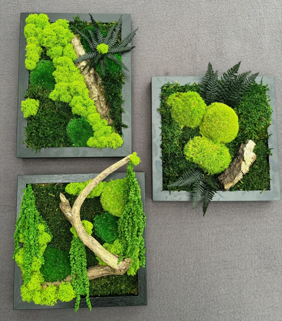 Dieses Bild hat ein leeres Alt-Attribut. Der Dateiname ist 3Bilder1-898x1024.jpeg