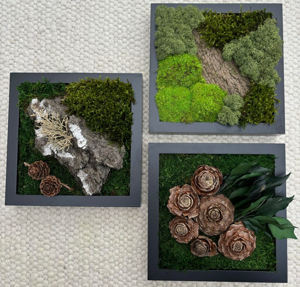 Dieses Bild hat ein leeres Alt-Attribut. Der Dateiname ist 3Bilder2-1024x982.jpeg