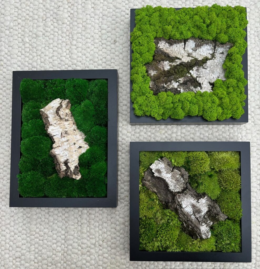 Dieses Bild hat ein leeres Alt-Attribut. Der Dateiname ist 3Bilder3-988x1024.jpeg