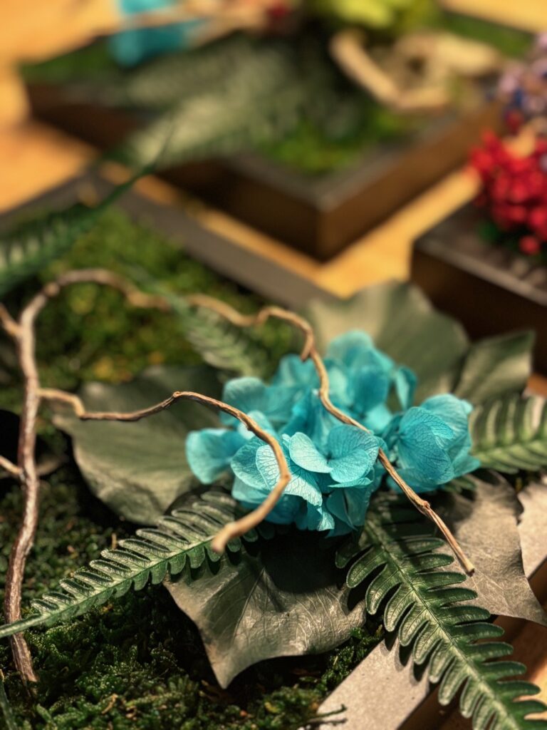 Dieses Bild hat ein leeres Alt-Attribut. Der Dateiname ist 3Bilder4-768x1024.jpeg