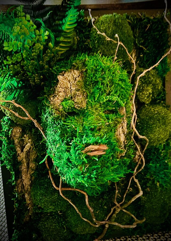 Dieses Bild hat ein leeres Alt-Attribut. Der Dateiname ist Gesicht-nah-726x1024.jpeg