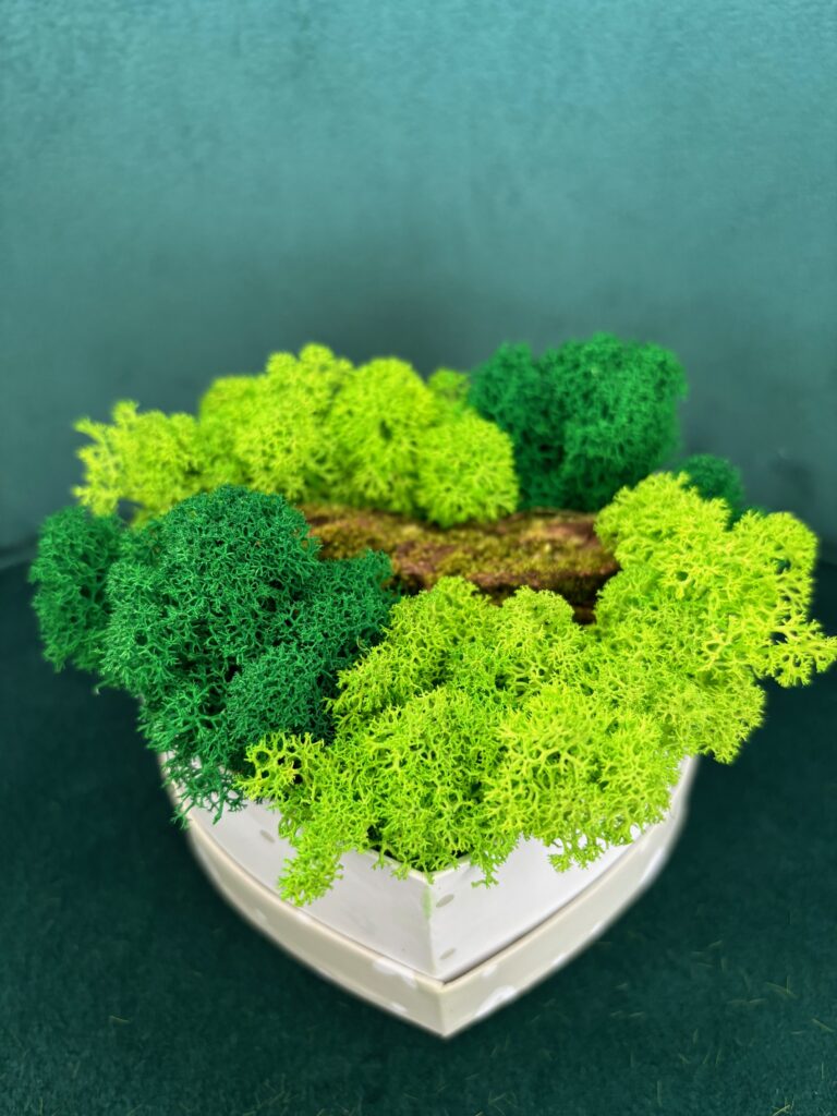 Dieses Bild hat ein leeres Alt-Attribut. Der Dateiname ist Herzschachtel-768x1024.jpeg