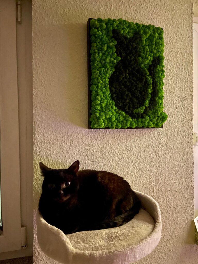 Dieses Bild hat ein leeres Alt-Attribut. Der Dateiname ist Katze2-768x1024.jpeg