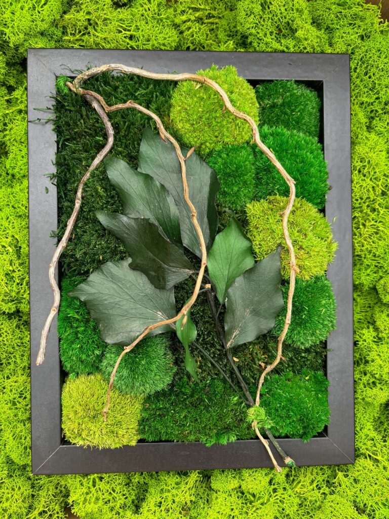 Dieses Bild hat ein leeres Alt-Attribut. Der Dateiname ist Kugelmoosbild-768x1024.jpeg