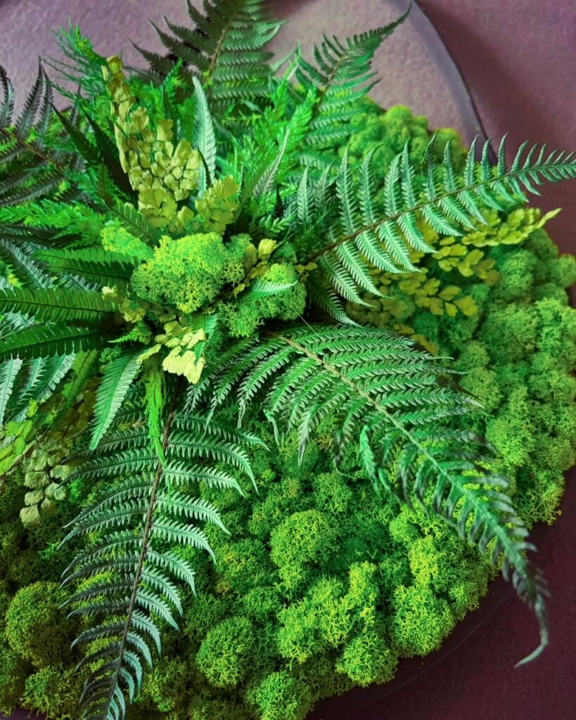 Dieses Bild hat ein leeres Alt-Attribut. Der Dateiname ist Moosbild-rund-819x1024.jpeg