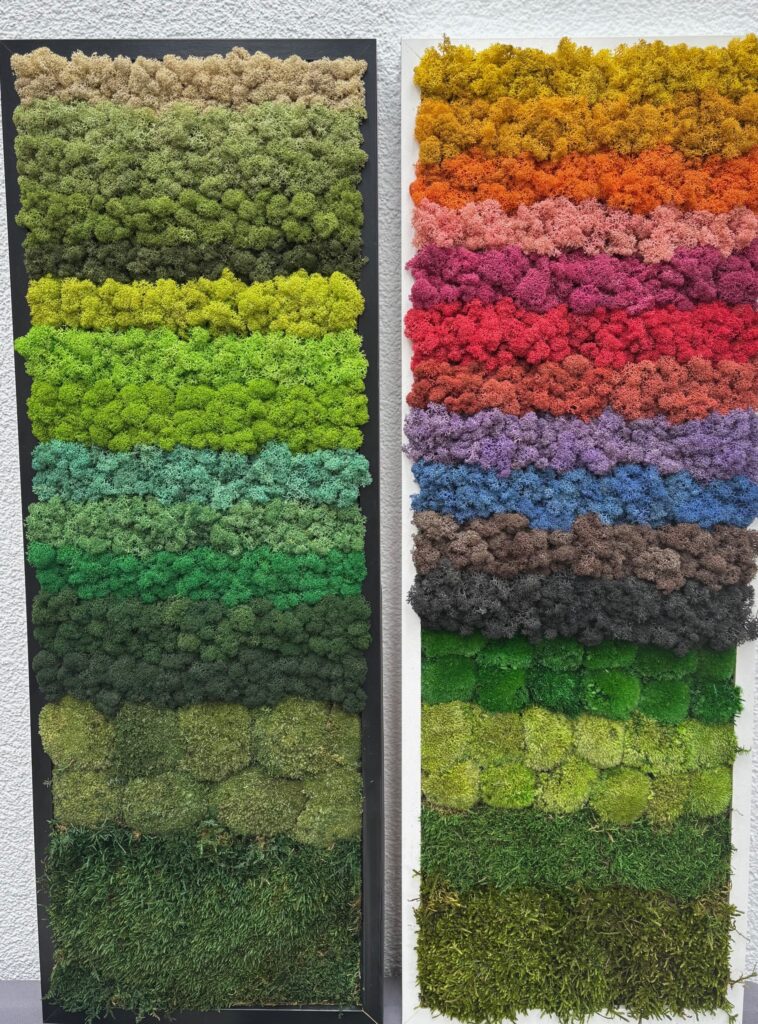 Dieses Bild hat ein leeres Alt-Attribut. Der Dateiname ist Musterbild2-758x1024.jpeg