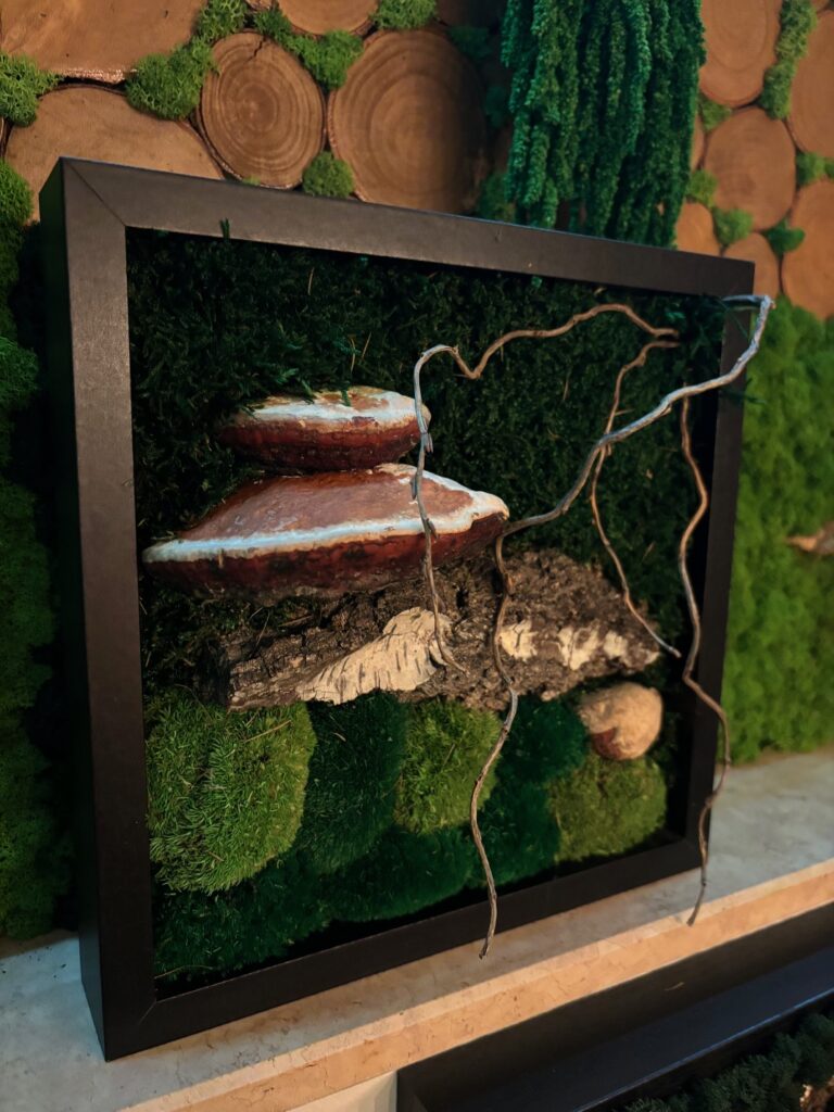 Dieses Bild hat ein leeres Alt-Attribut. Der Dateiname ist Pilzebild-768x1024.jpeg