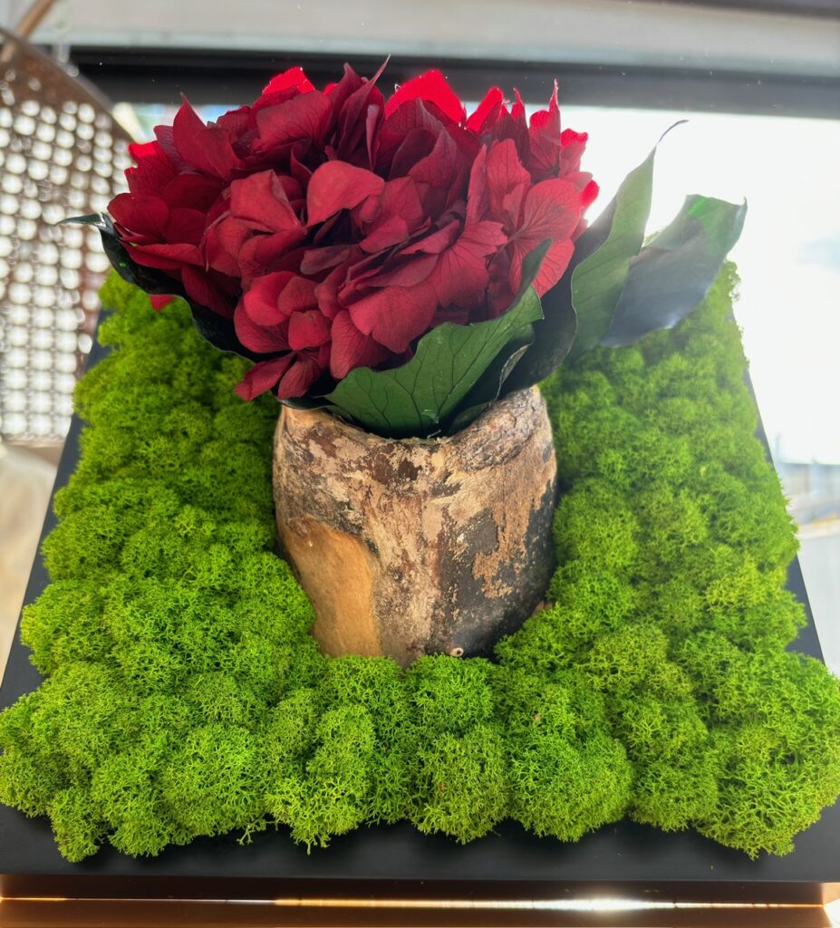 Dieses Bild hat ein leeres Alt-Attribut. Der Dateiname ist RoteBlume-927x1024.jpeg