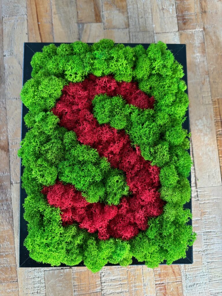 Dieses Bild hat ein leeres Alt-Attribut. Der Dateiname ist S-Moos-768x1024.jpeg