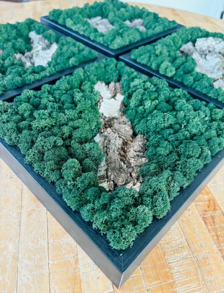 Dieses Bild hat ein leeres Alt-Attribut. Der Dateiname ist Viererset-784x1024.jpeg